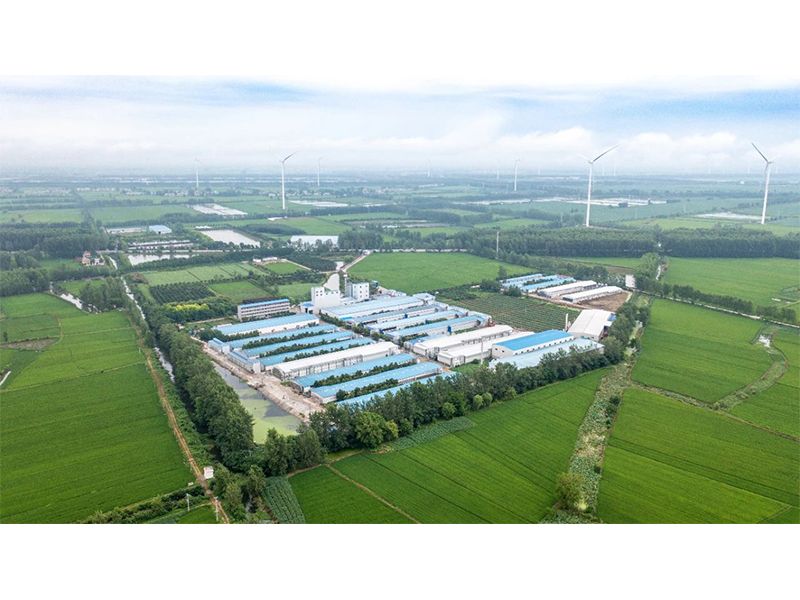 2023年中央一號文件出爐，畜禽產(chǎn)業(yè)應(yīng)抓住哪些新機(jī)遇？