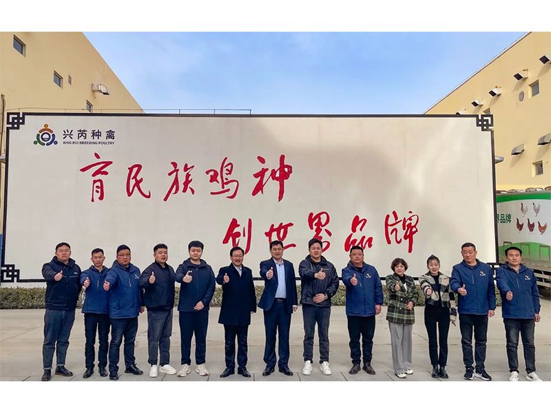 參觀學(xué)習(xí)促進(jìn)步 交流合作贏發(fā)展︱卓一牧業(yè)赴興芮種禽、峪口禽業(yè)與瑞普生物參觀訪學(xué)
