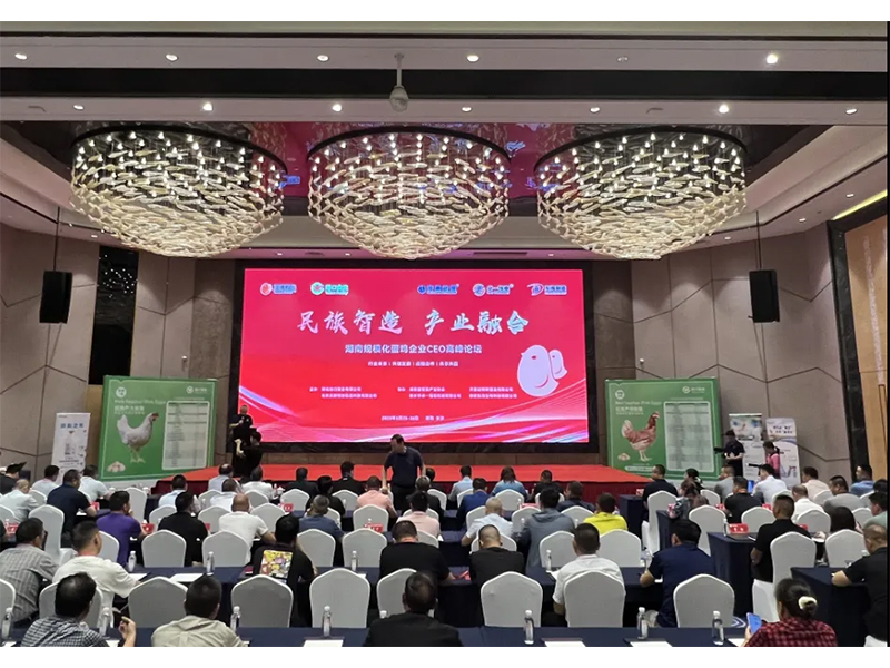 熱烈祝賀湖南規(guī)?；半u企業(yè)CEO高峰論壇取得圓滿(mǎn)成功！